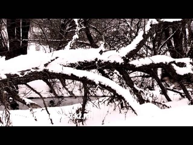 Двое (2010)