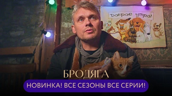 Бомж-сыщик или гениальный преступник? Странная смерть главврача / БРОДЯГА (все сезоны)