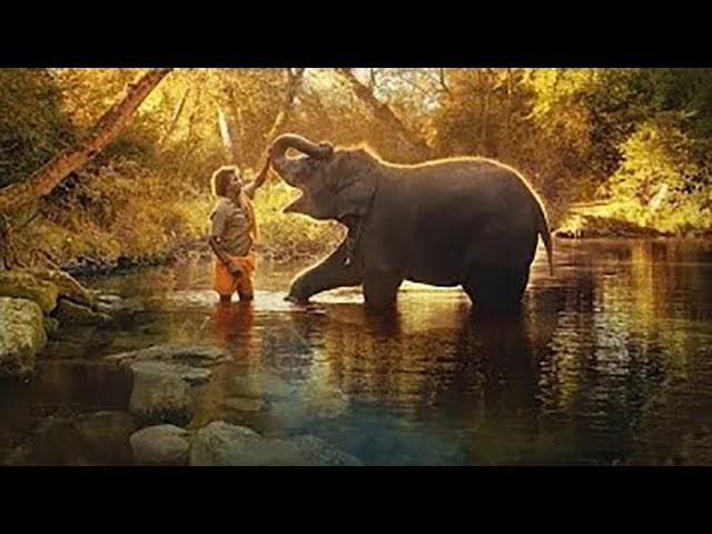 Заклинатели слонов 2023 (Netflix)