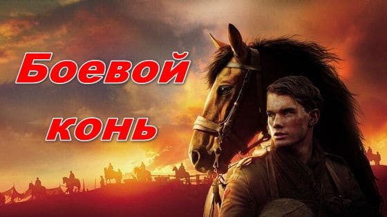 Боевой конь 2011